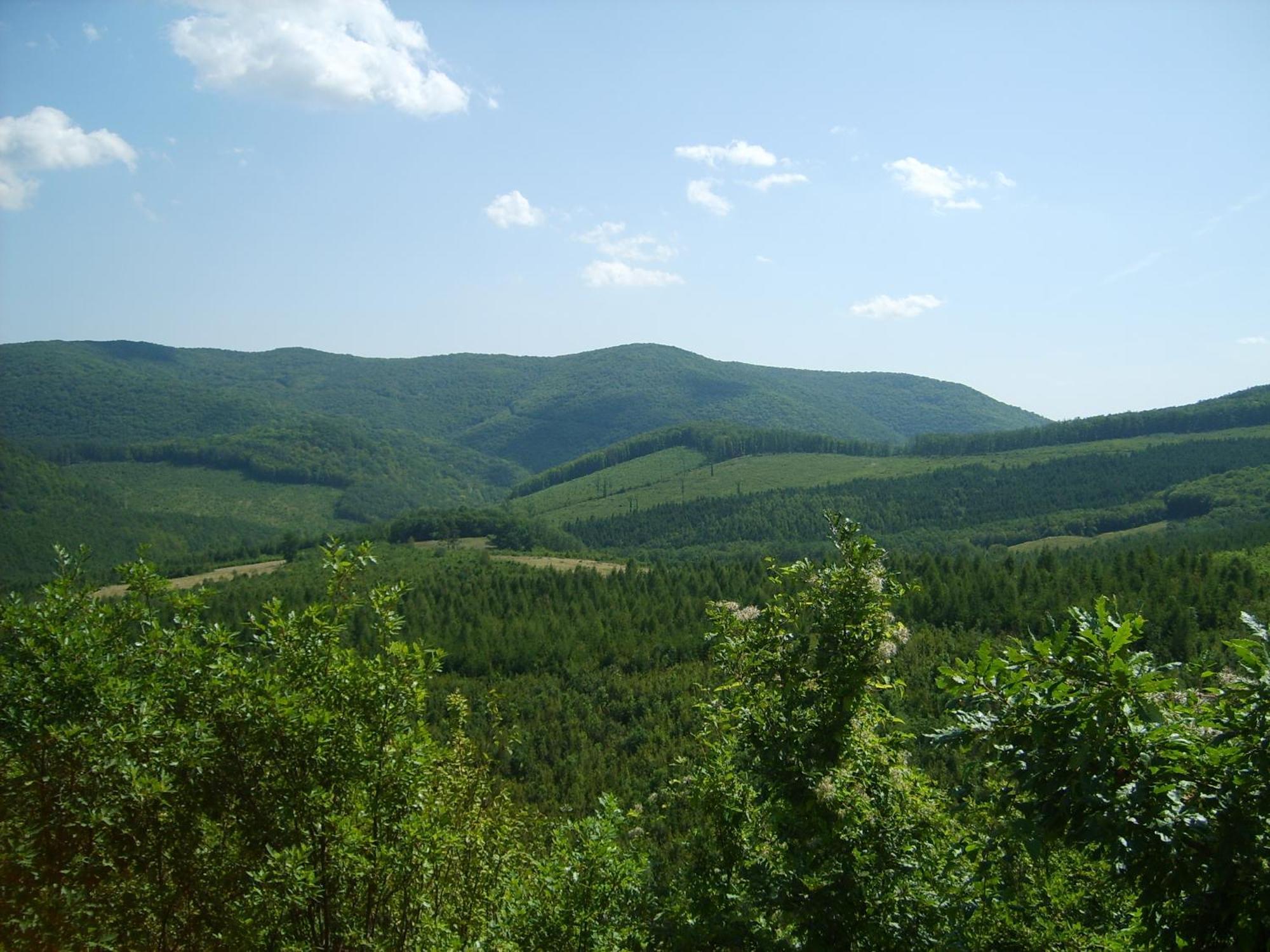 Alabastrom Panzio Es Etterem Bed & Breakfast Bogacs Exterior photo